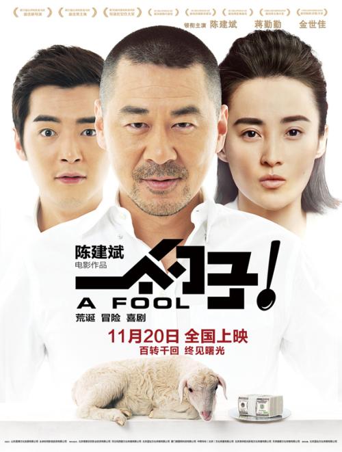 办理假缅甸